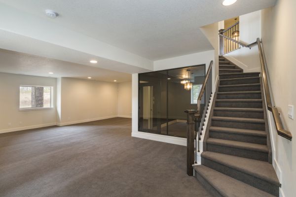 Basement Restoration Service in Clayton