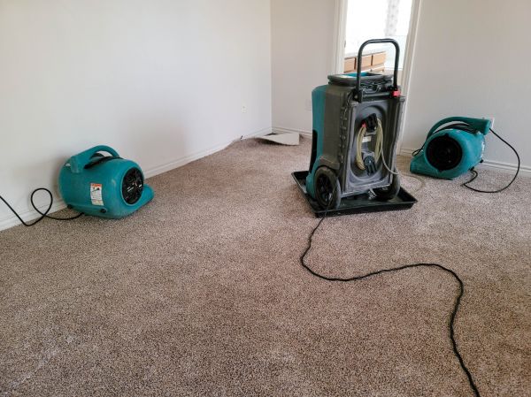 Flood Damage Repair in Clayton