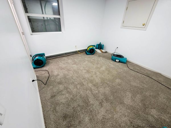 Flood Restoration Service in Clayton