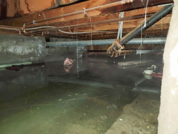 Water Mitigation Service in Clayton
