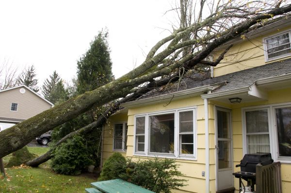 Cost of Hurricane Damage Repair in Clayton