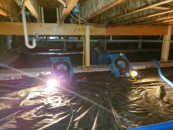 Cost of Crawlspace Water Removal in Clayton
